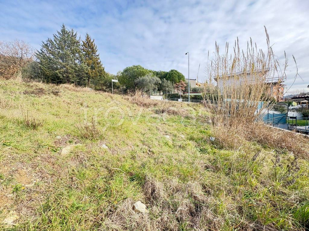 immagine annuncio 10 di 14