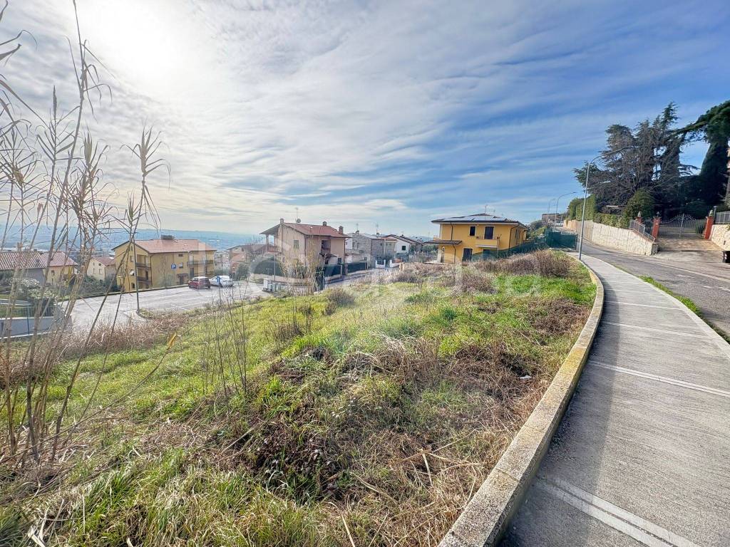 immagine annuncio 12 di 14