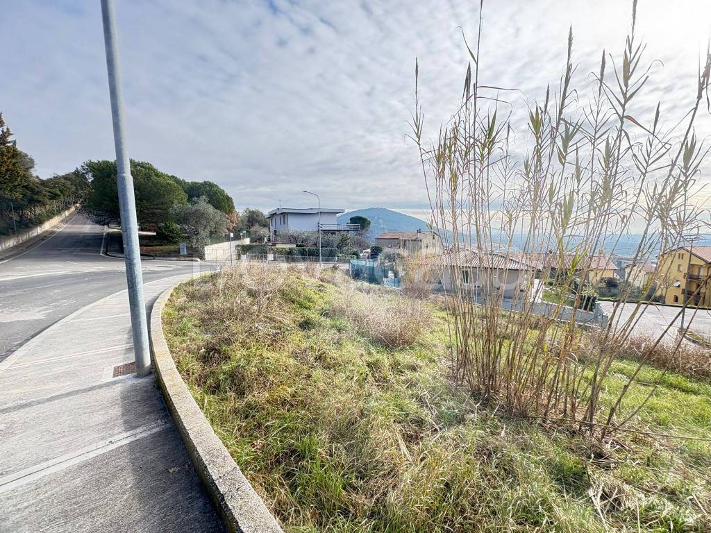 immagine annuncio 13 di 14