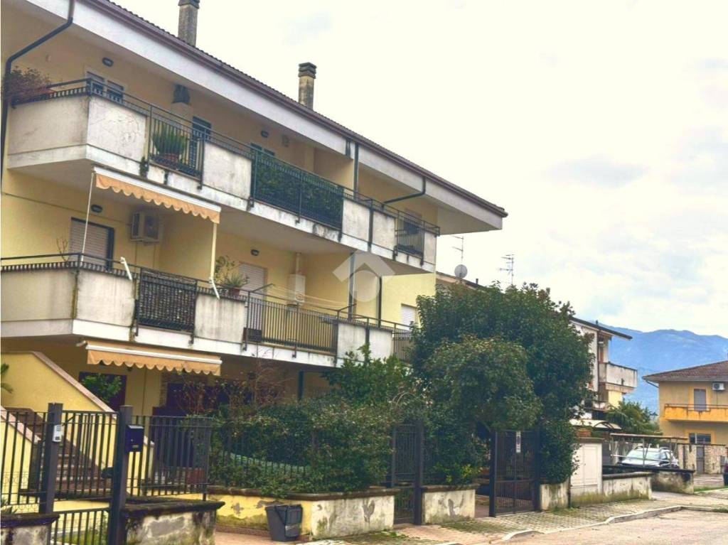 immagine annuncio 1 di 6