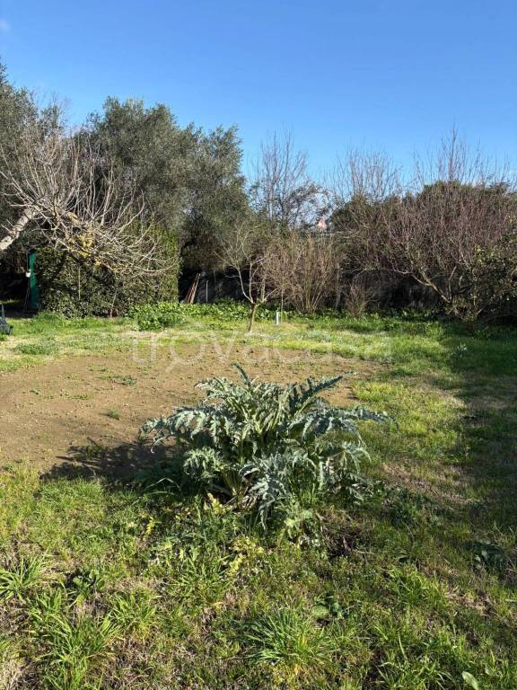 immagine annuncio 8 di 12