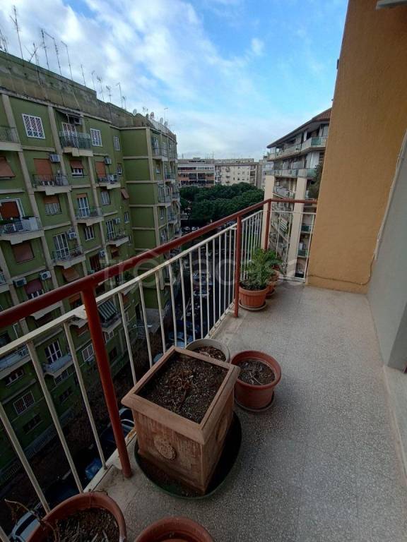 immagine annuncio 9 di 12