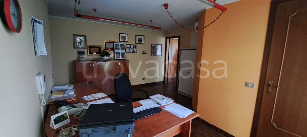 immagine annuncio 7 di 8