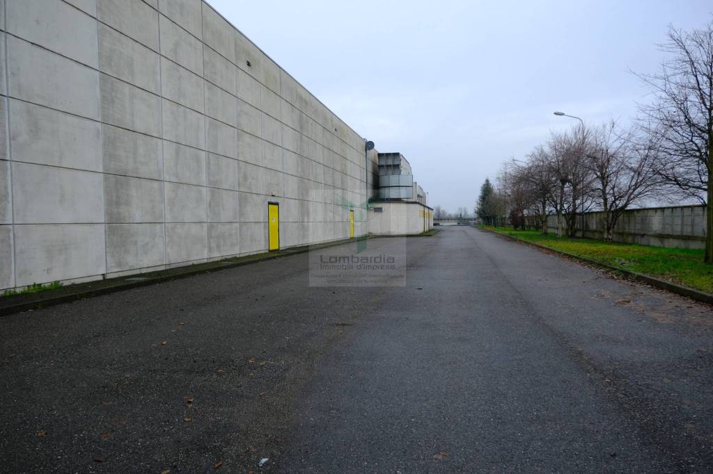 immagine annuncio 12 di 15