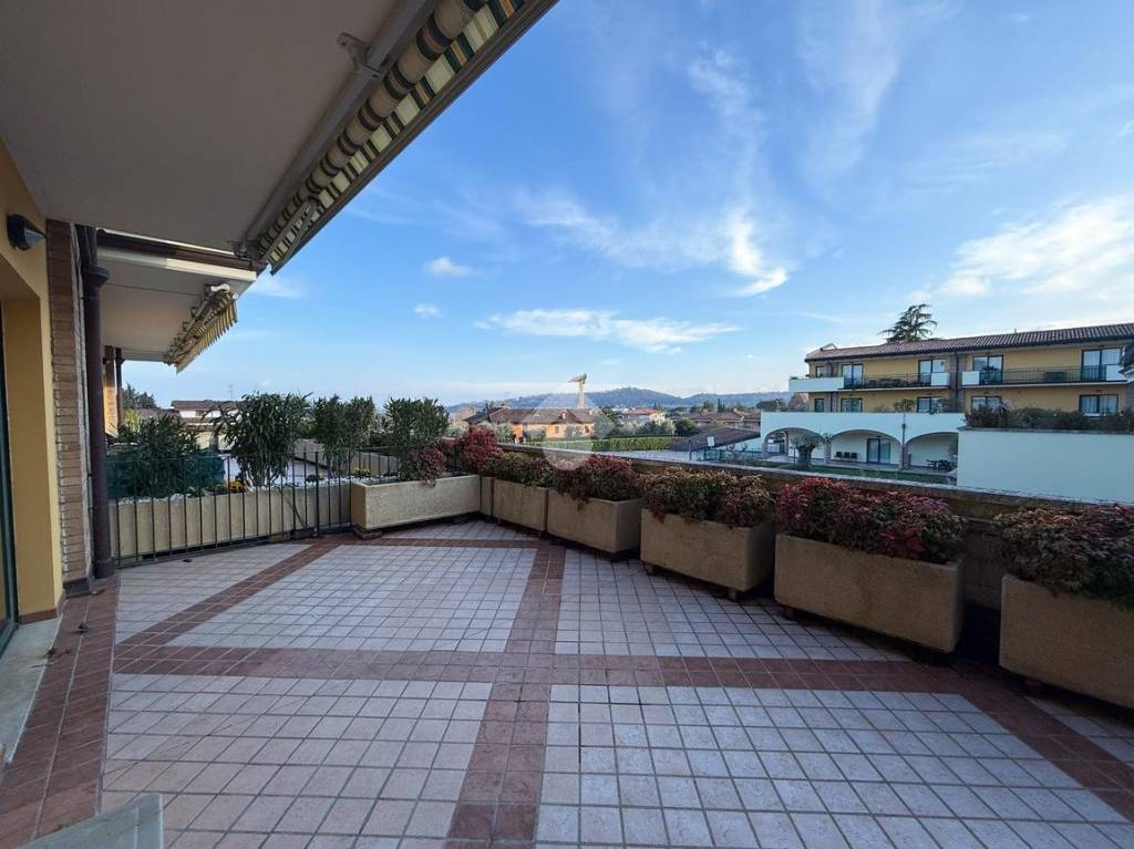 immagine annuncio 11 di 15