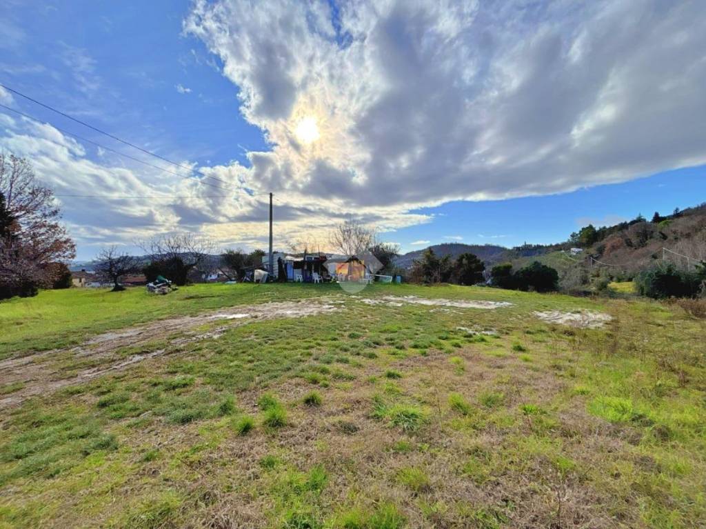 immagine annuncio 2 di 8