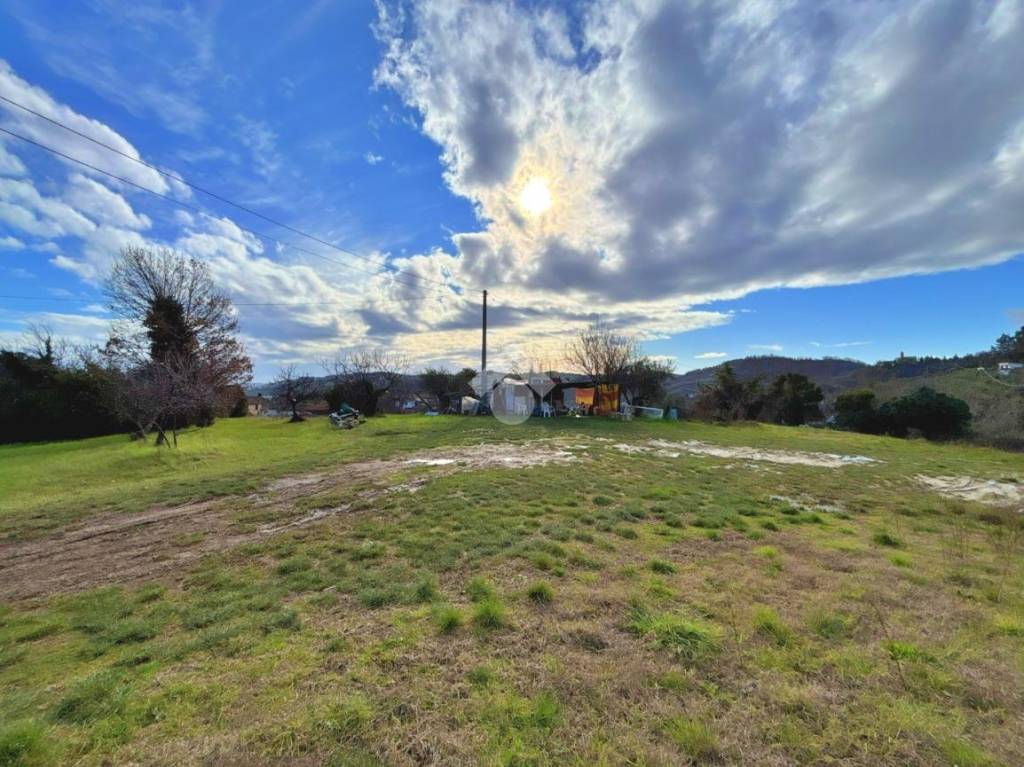 immagine annuncio 5 di 8