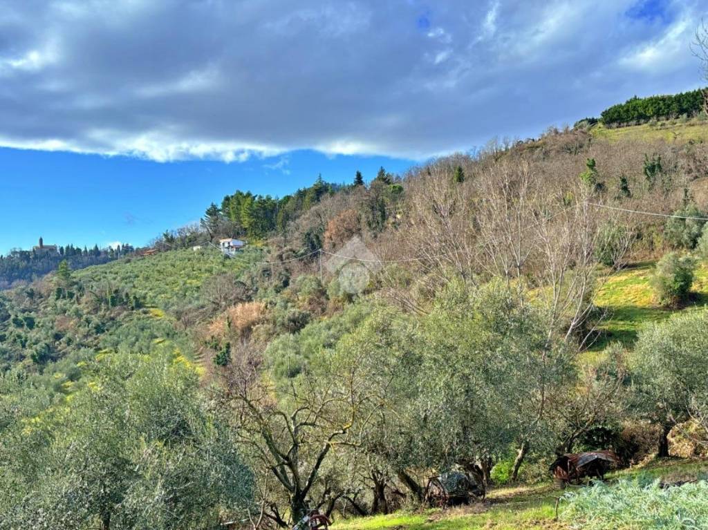 immagine annuncio 6 di 8