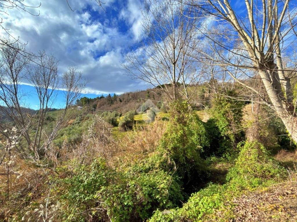 immagine annuncio 7 di 8