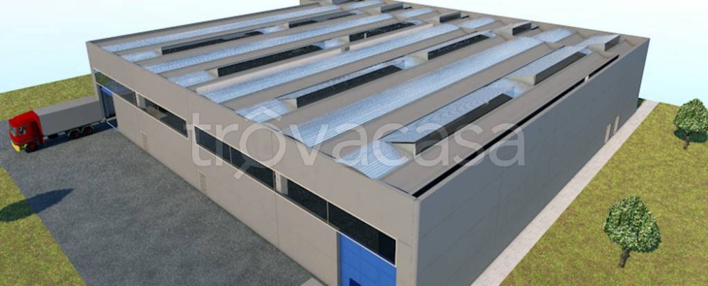 immagine annuncio 6 di 13