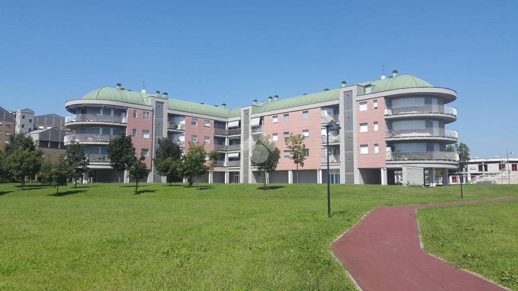 immagine annuncio 12 di 15