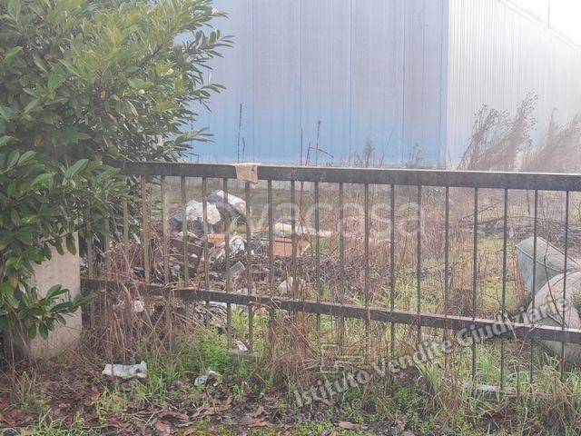 immagine annuncio 5 di 12