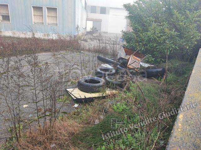 immagine annuncio 10 di 12