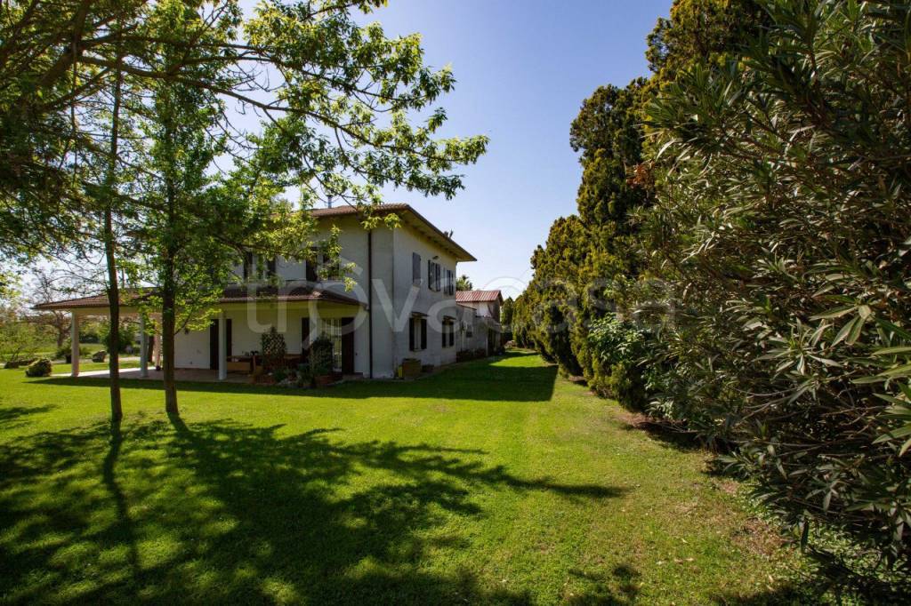 immagine annuncio 5 di 14