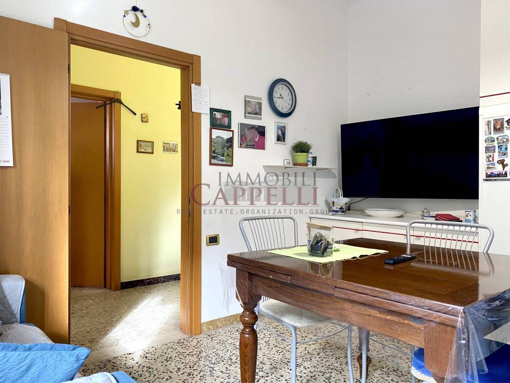 immagine annuncio 7 di 13