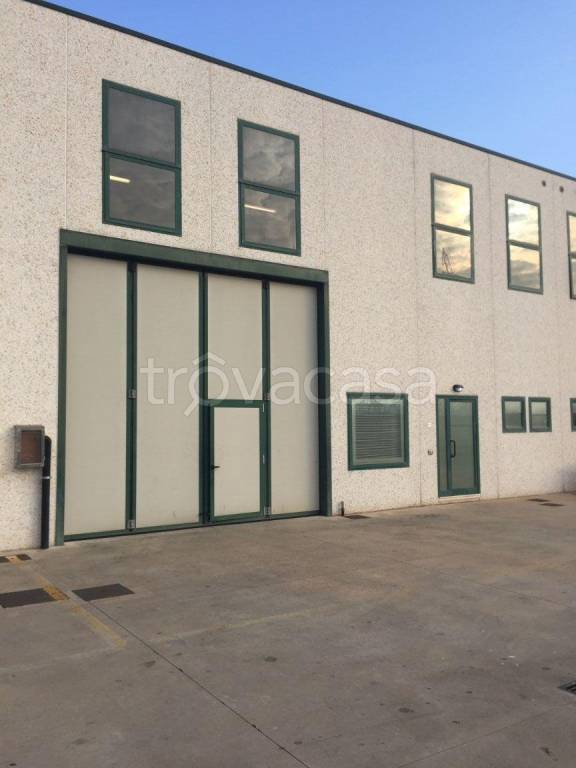 immagine annuncio 9 di 10