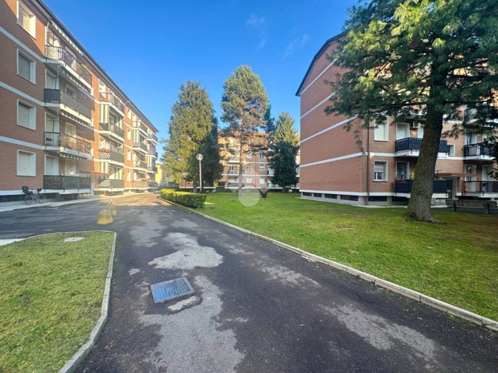 immagine annuncio 13 di 14