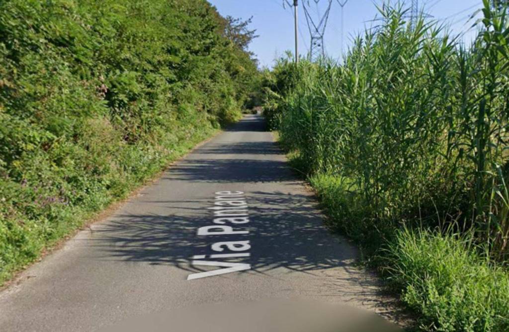 immagine annuncio 2 di 11