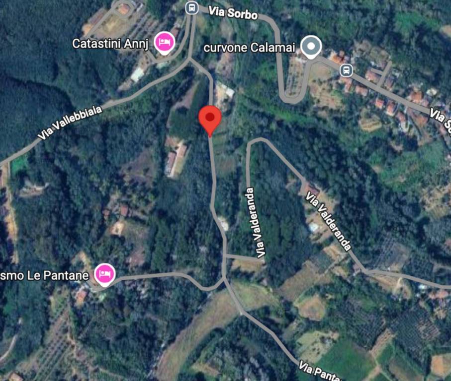 immagine annuncio 7 di 11