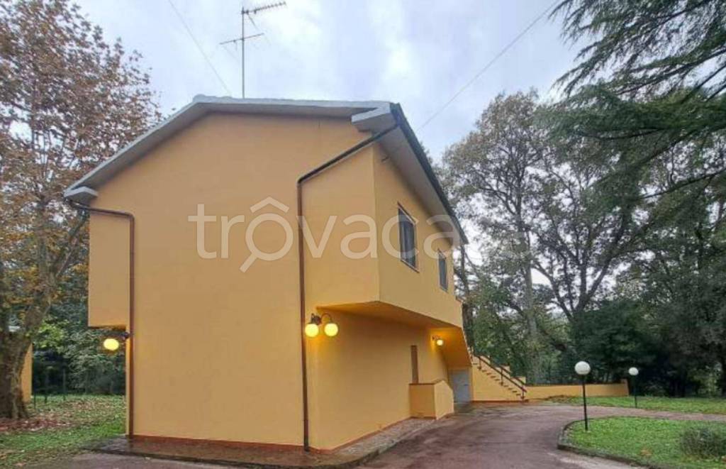 immagine annuncio 8 di 11