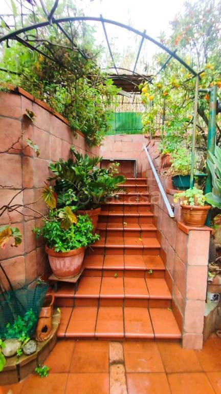 immagine annuncio 2 di 8