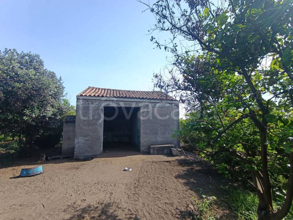 immagine annuncio 2 di 12