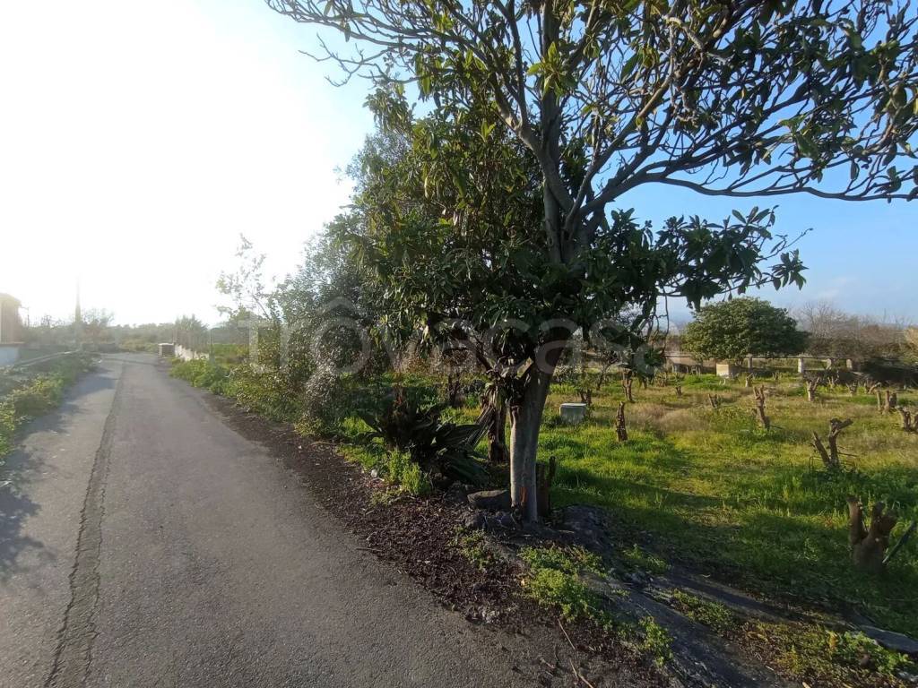 immagine annuncio 4 di 7