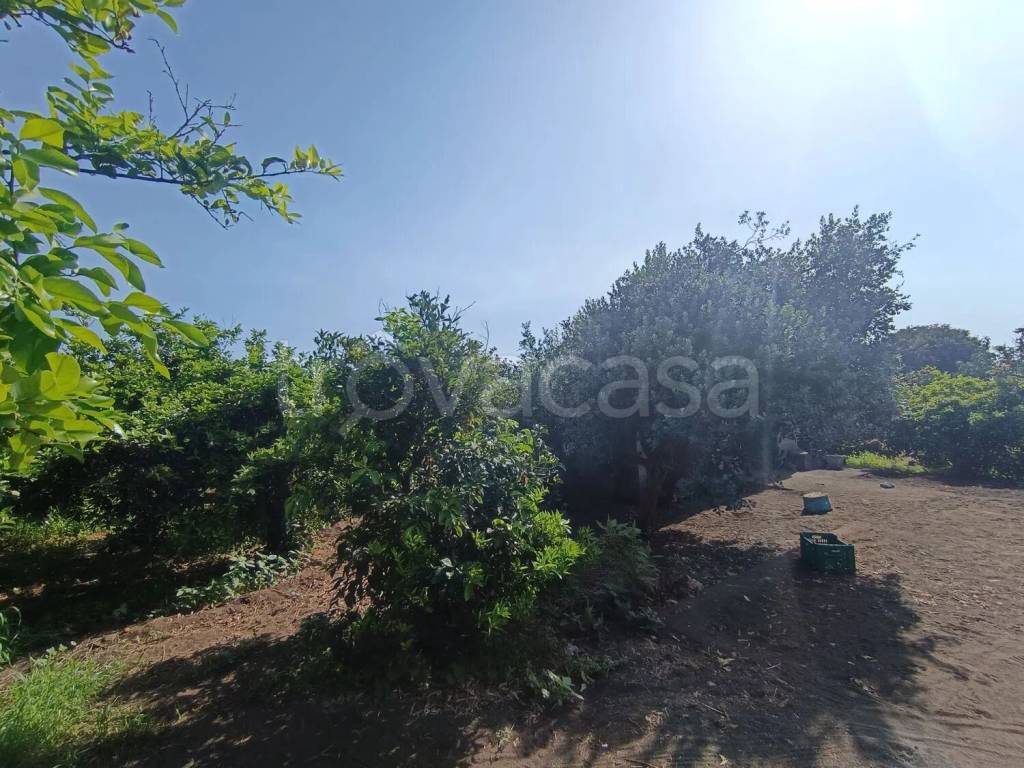 immagine annuncio 8 di 12