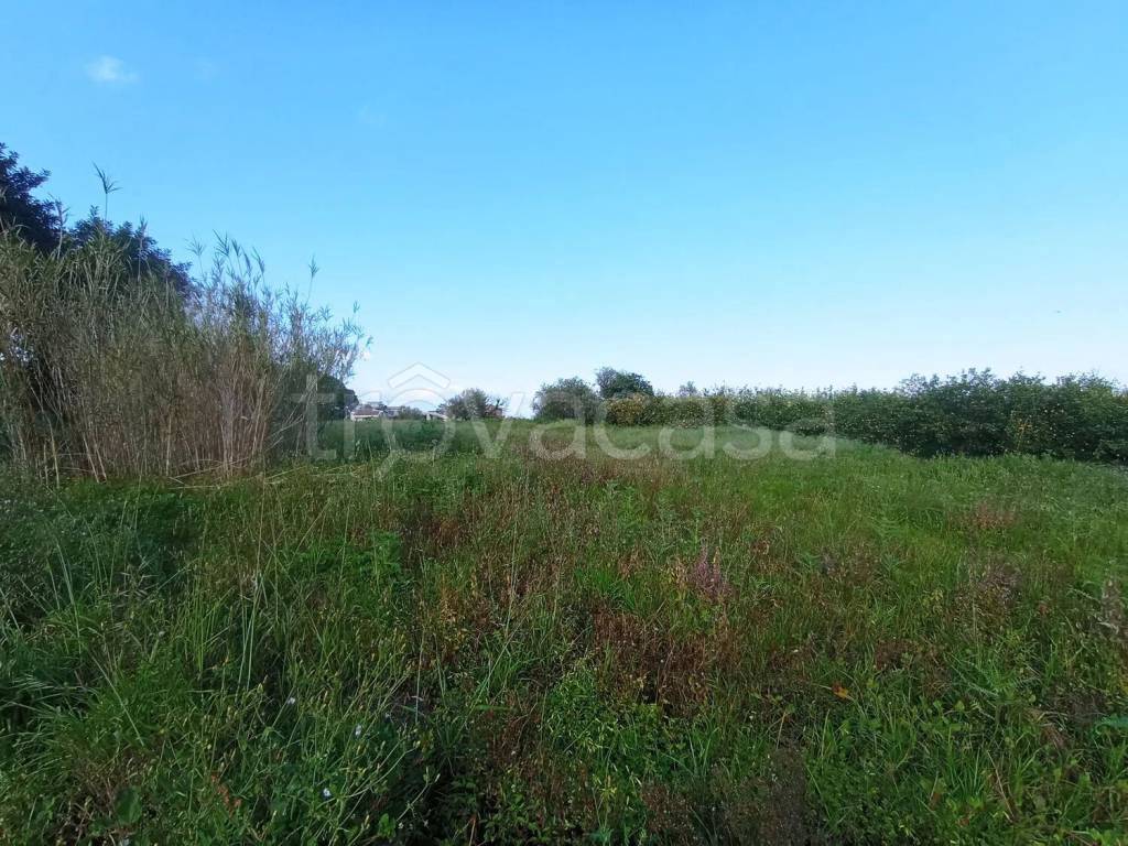 immagine annuncio 6 di 7