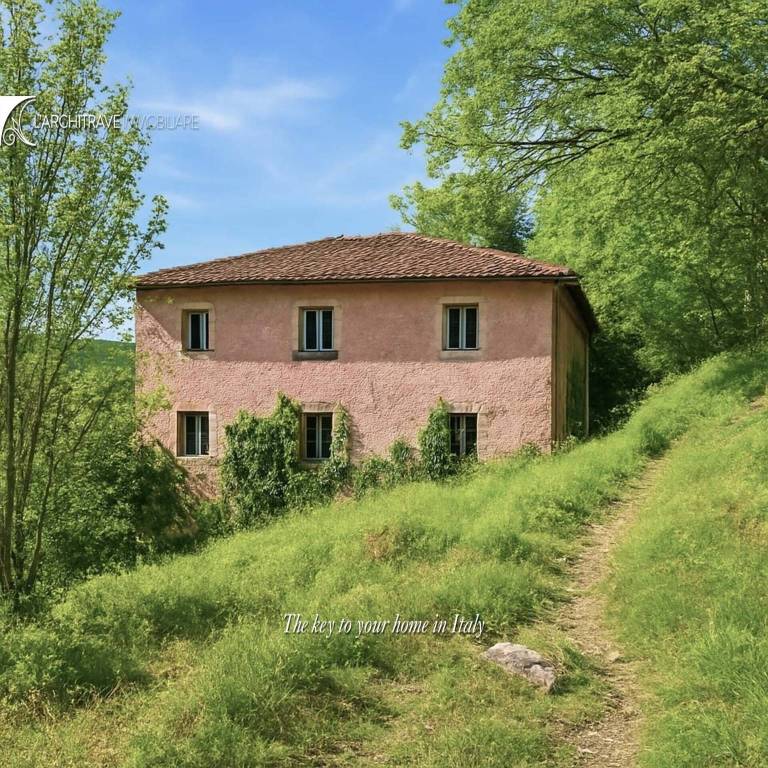 immagine annuncio 2 di 9