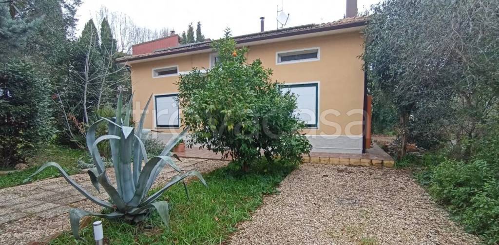 immagine annuncio 2 di 8