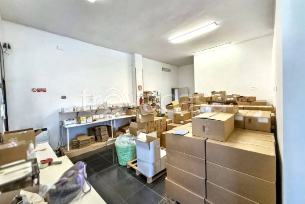 immagine annuncio 5 di 11