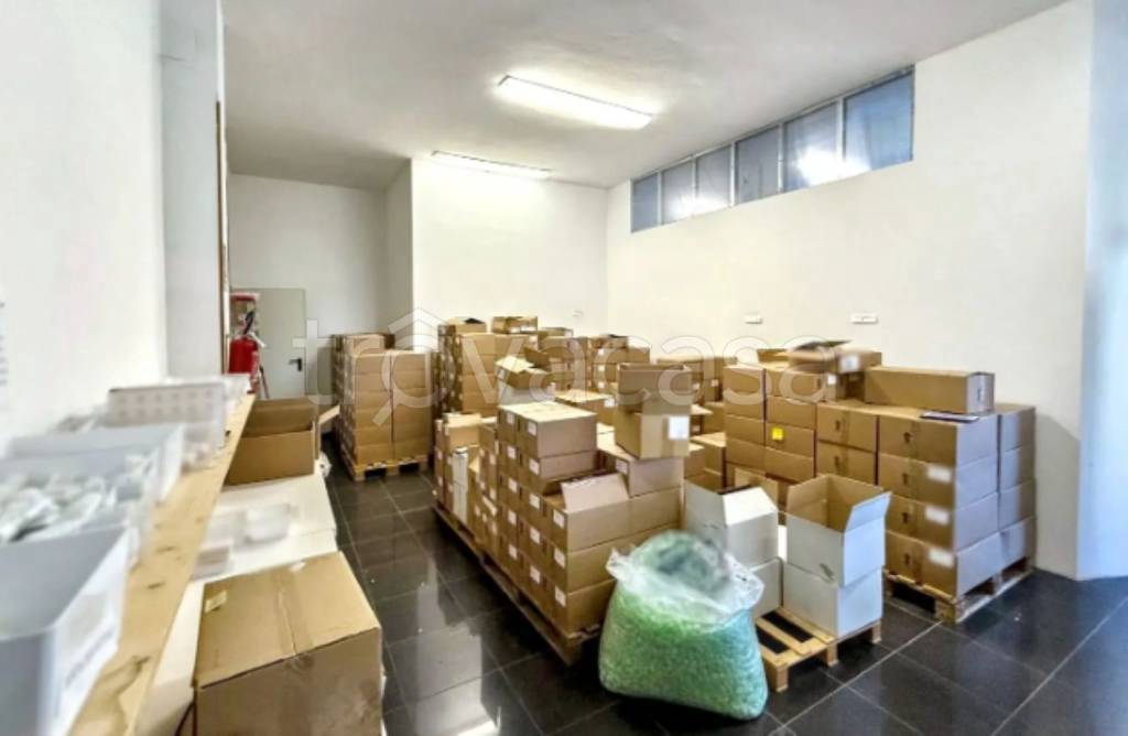 immagine annuncio 6 di 11