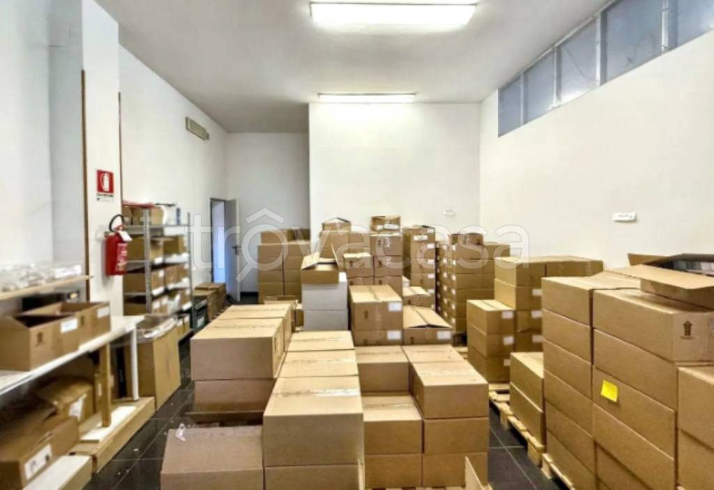 immagine annuncio 7 di 11