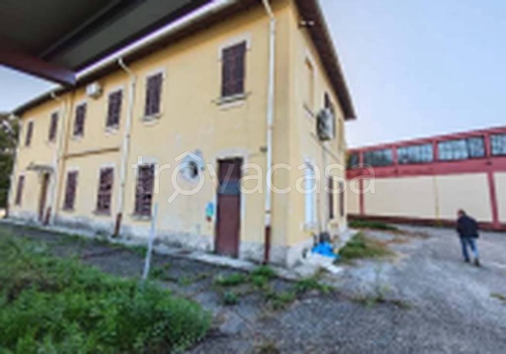 immagine annuncio 2 di 12