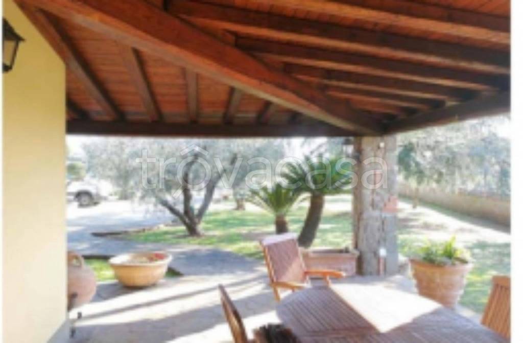 immagine annuncio 2 di 11