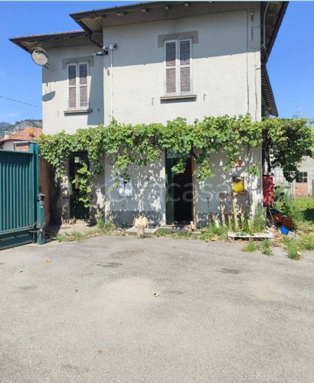 immagine annuncio 6 di 12