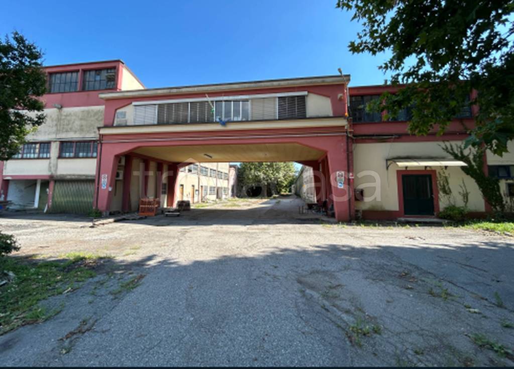 immagine annuncio 11 di 12