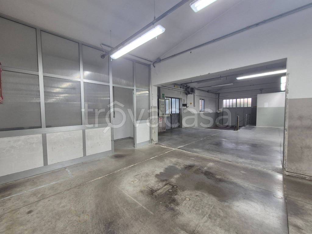 immagine annuncio 9 di 15