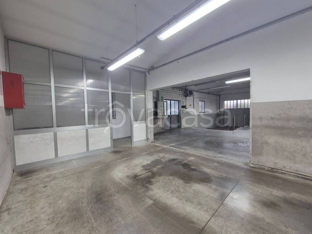 immagine annuncio 8 di 15