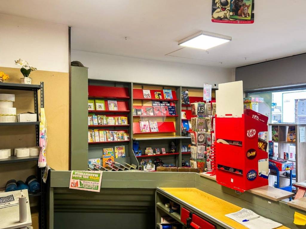 immagine annuncio 9 di 15