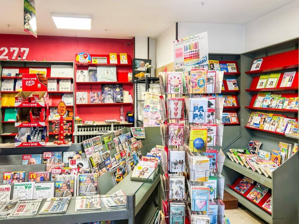 immagine annuncio 10 di 15