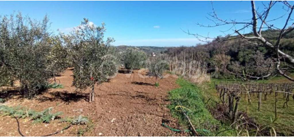 immagine annuncio 4 di 12