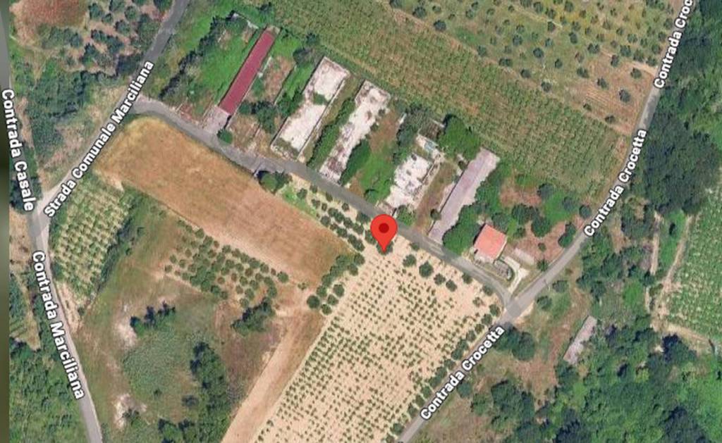 immagine annuncio 10 di 12