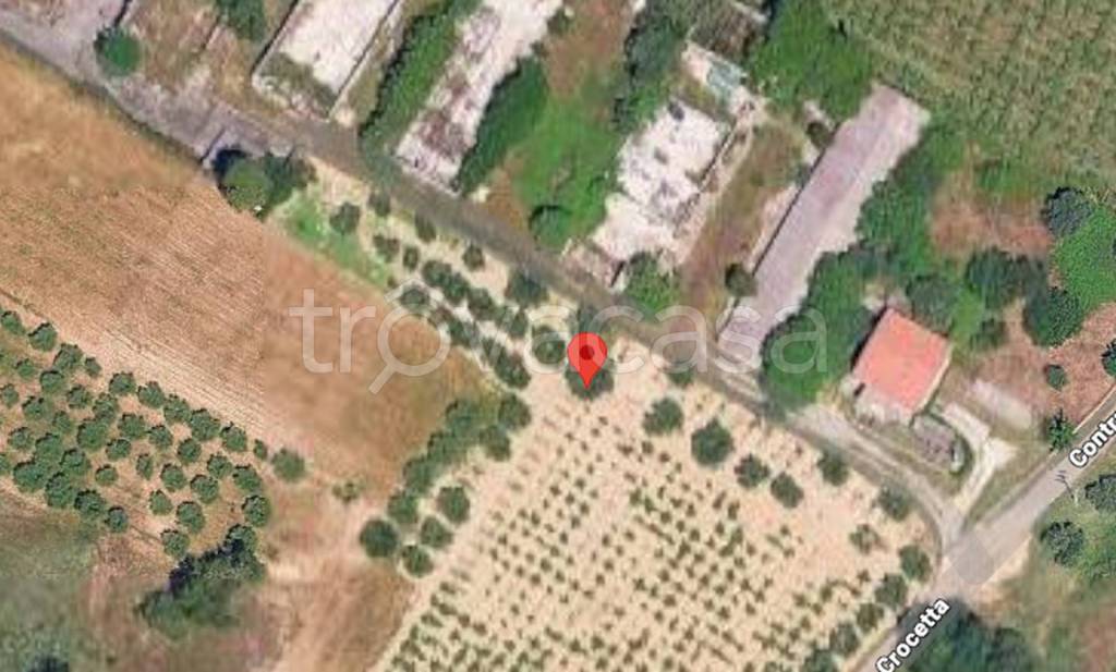 immagine annuncio 11 di 12