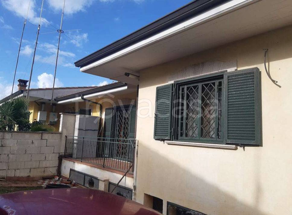 immagine annuncio 3 di 6