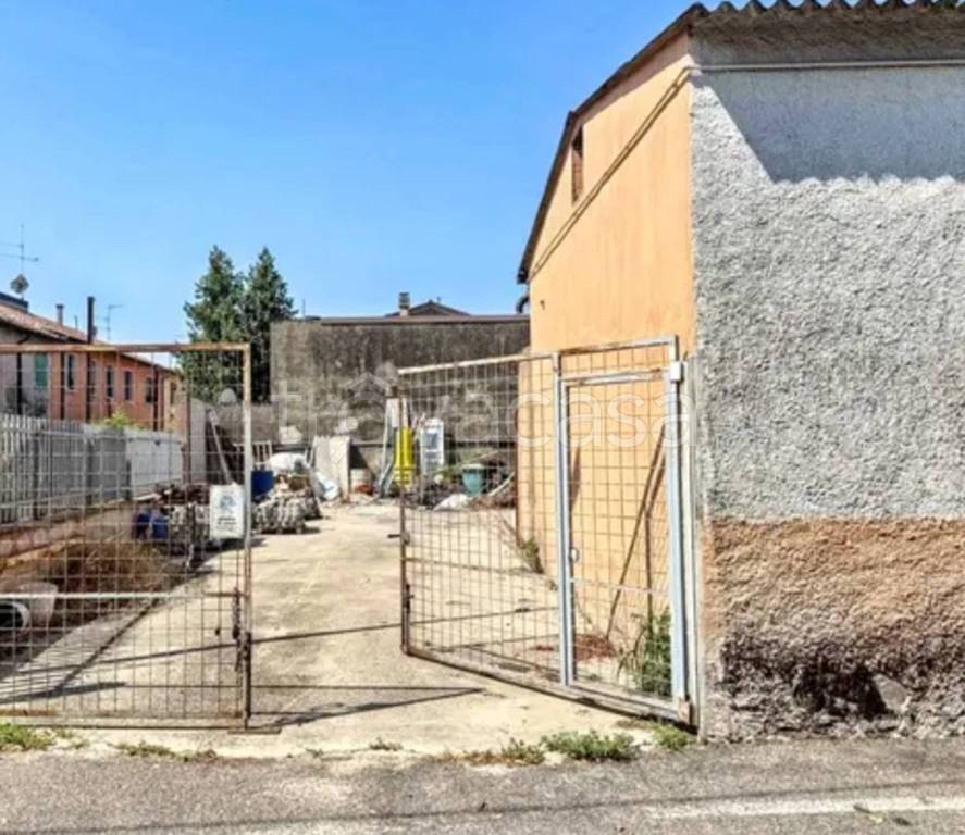 immagine annuncio 3 di 11