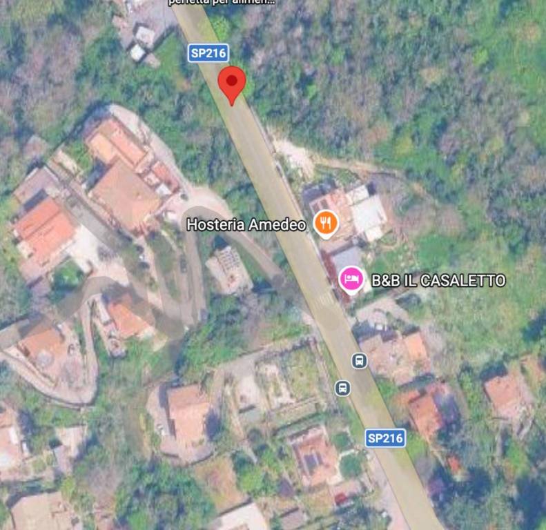 immagine annuncio 6 di 11