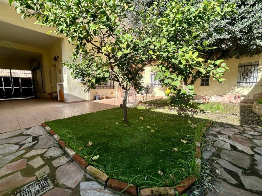 immagine annuncio 4 di 15