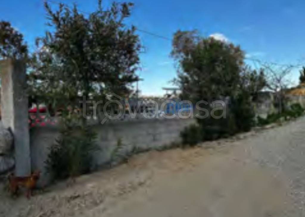 immagine annuncio 10 di 14